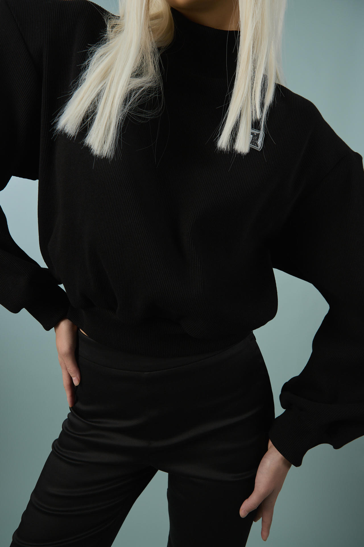 Свитшот Doggy Regby