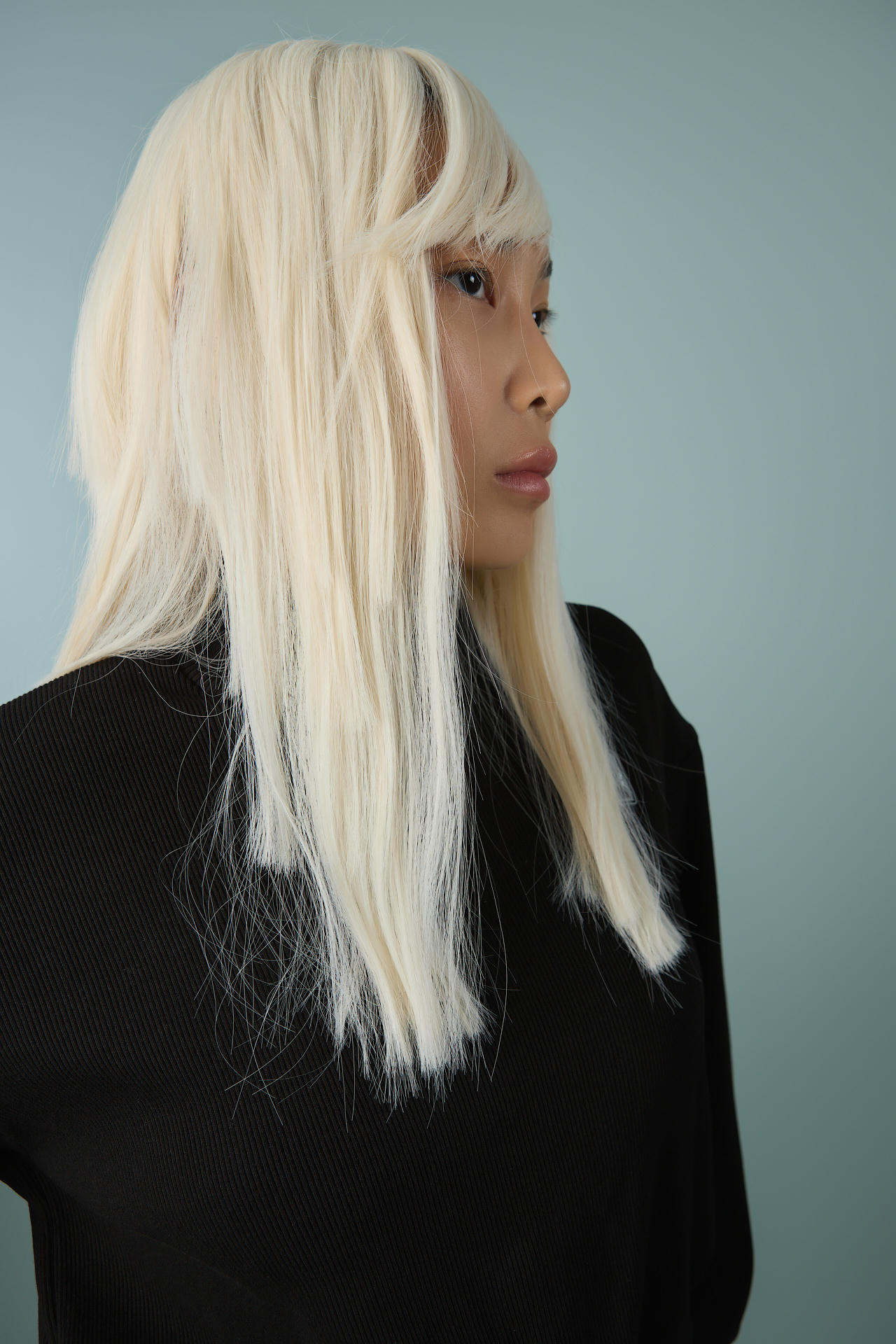 Свитшот Doggy Regby