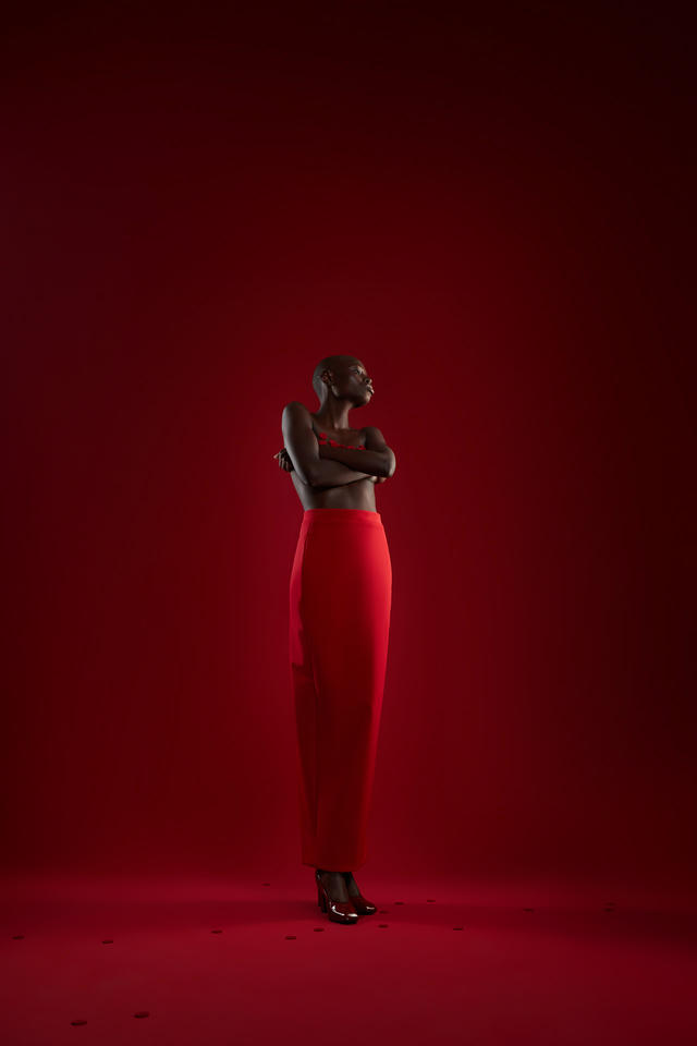 Юбка Rapier maxi | ZNWR