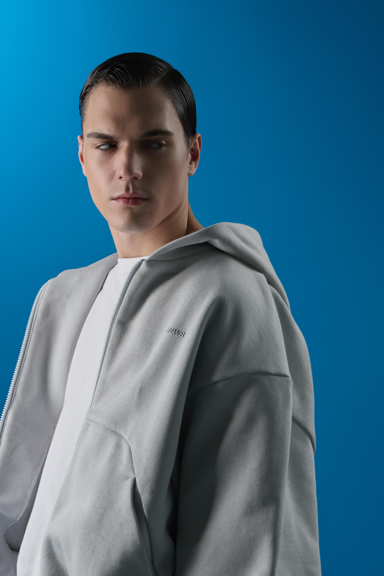 Худи Биатлон зип