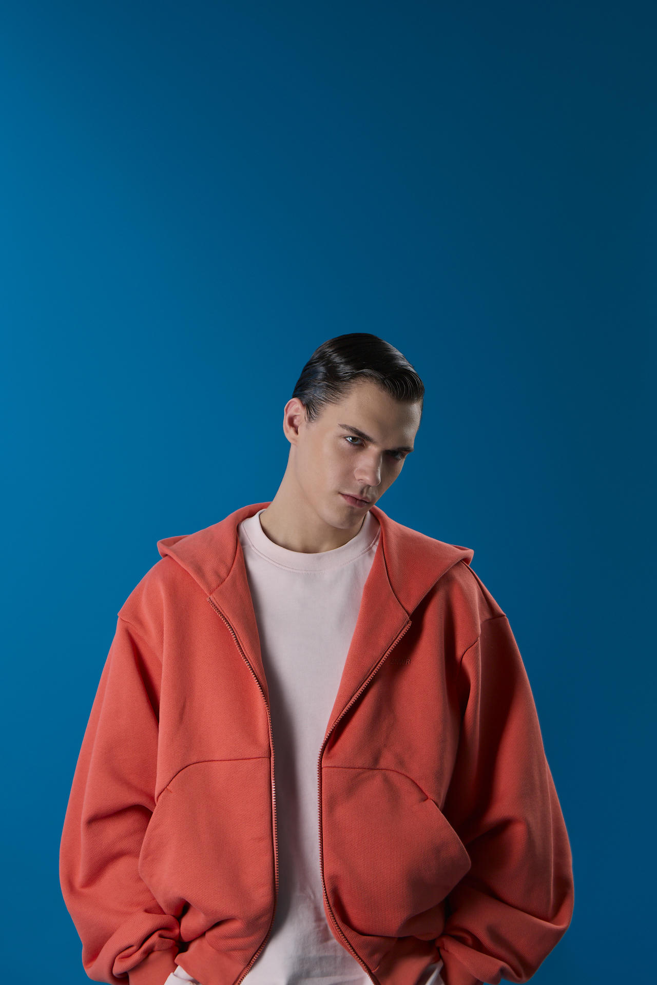 Худи Биатлон зип